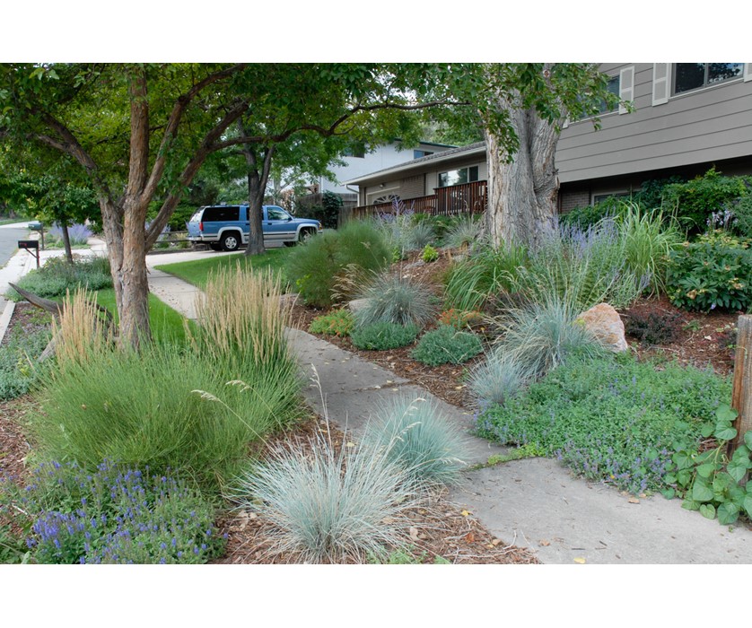 Colorado Springs Utilities Xeriscaping - Front Yard Facelift