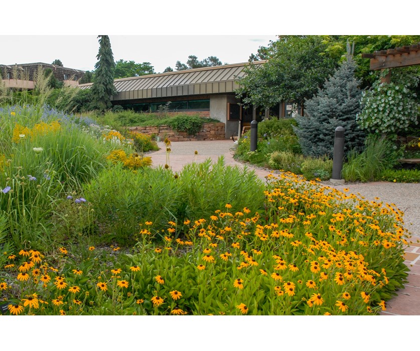 Colorado Springs Utilities Xeriscaping - Mesa Road Garden