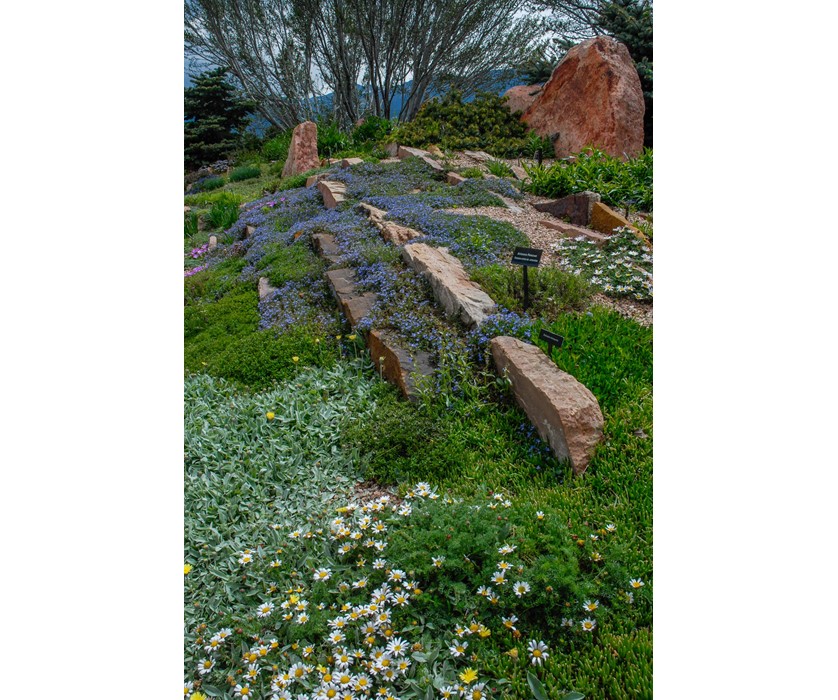 Colorado Springs Utilities Xeriscaping - Mesa Road Garden