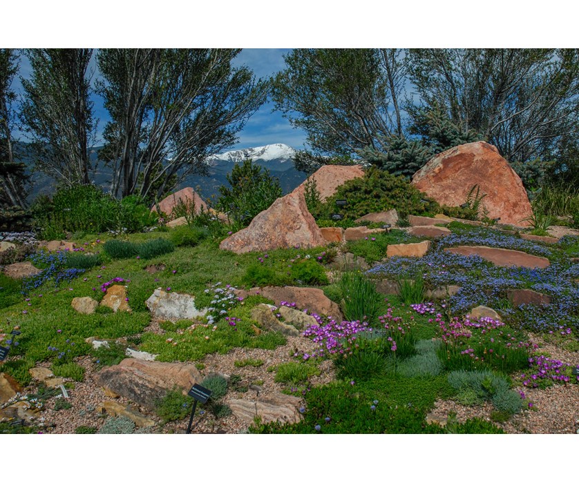 Colorado Springs Utilities Xeriscaping - Mesa Road Garden