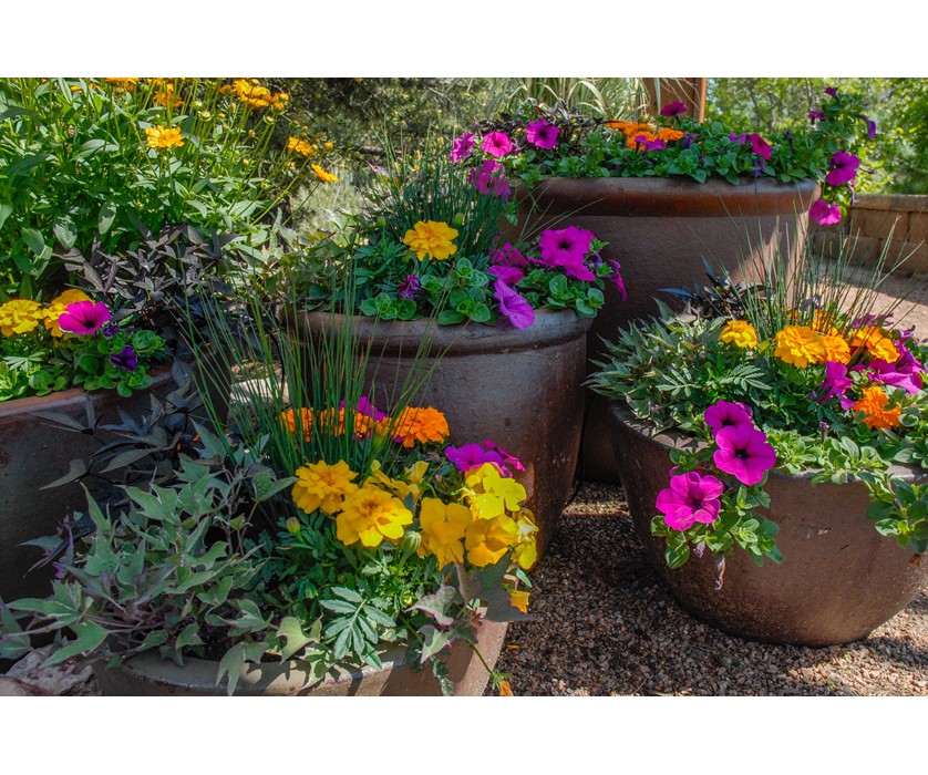 Colorado Springs Utilities Xeriscaping - Mesa Road Garden